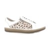 DORPLATO D8506 36 41